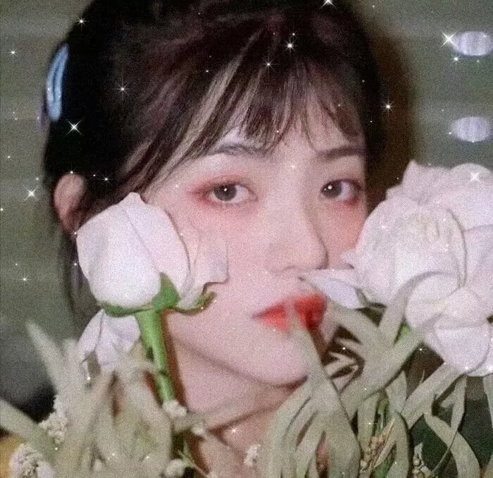 蜜糖美人